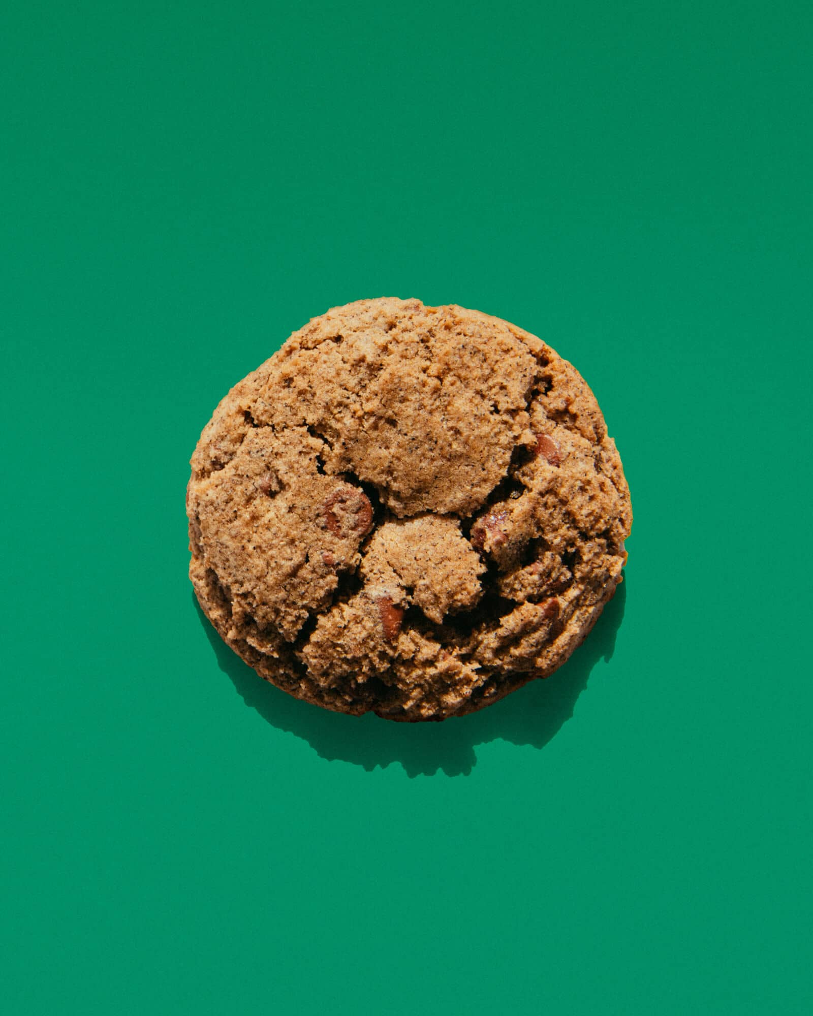 cookie-sobacha