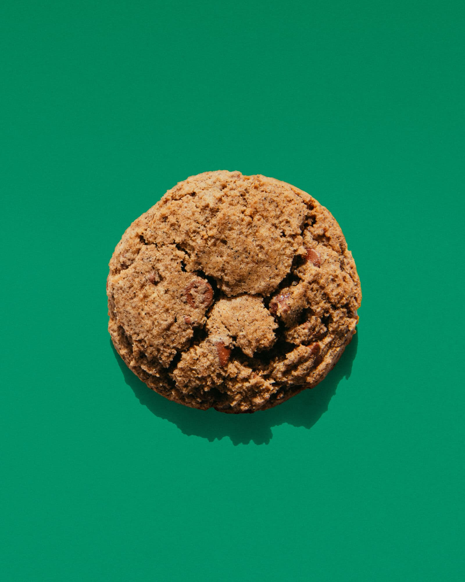 cookie-sobacha