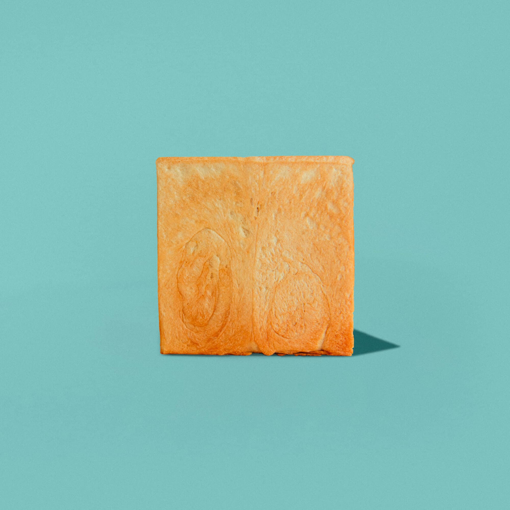 basic-bread01