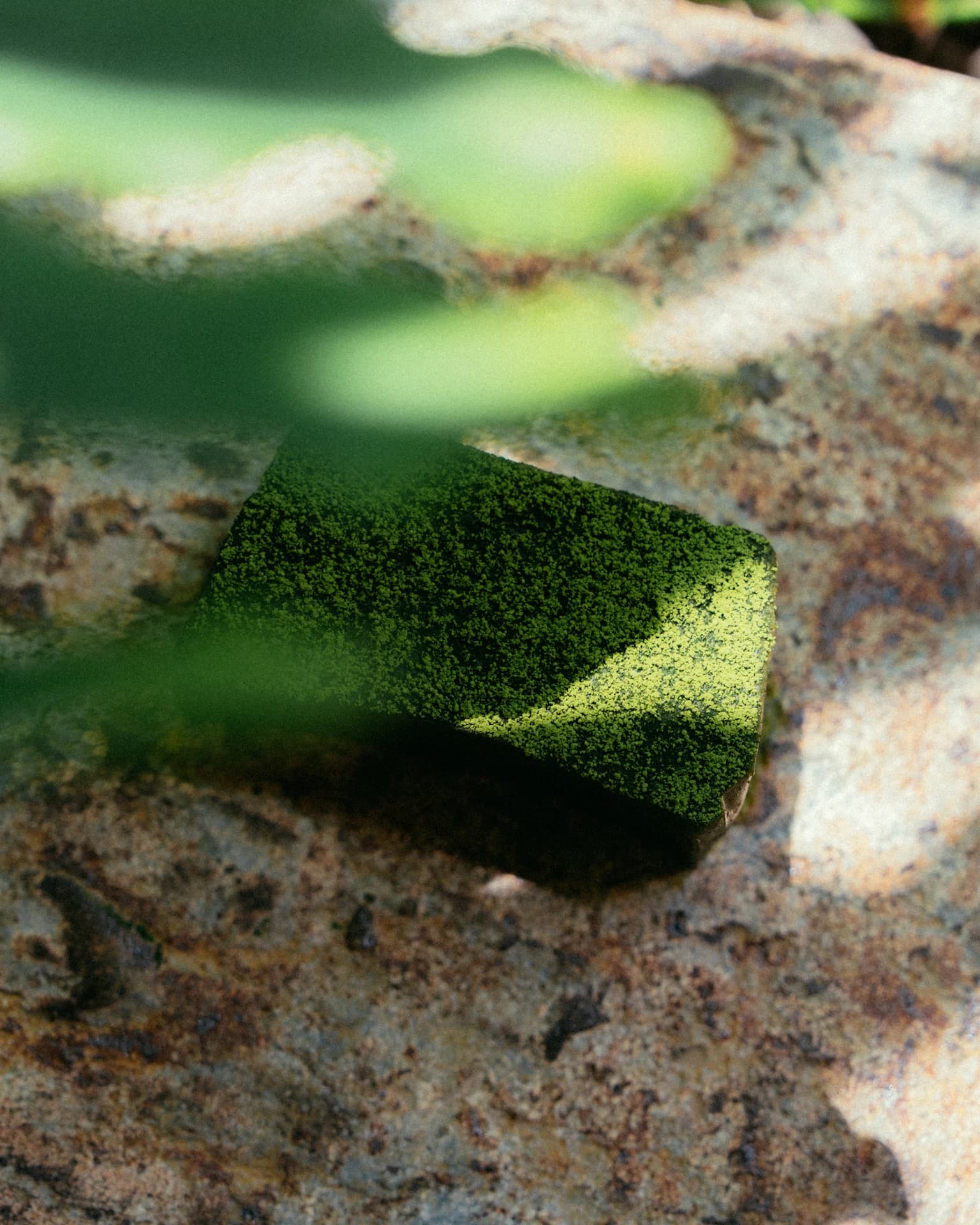 UnD's Matcha Terrine
